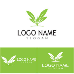 Leaf icon Vector Illustration design Logo template