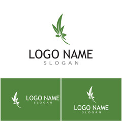 Leaf icon Vector Illustration design Logo template