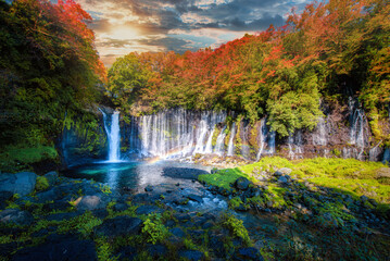 Fototapeta na wymiar Shiraito Falls with colorful autumn leaf in Fujinomiya, Shizuoka, Japan.
