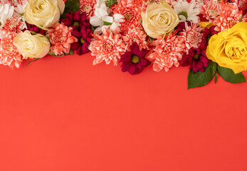 colorful blooming flowers on red background with copy sapace. creative minimal composition