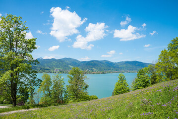 pictorial spring landscape Leeberg hill, view to turquoise lake Tegernsee, bavarian tourist resort