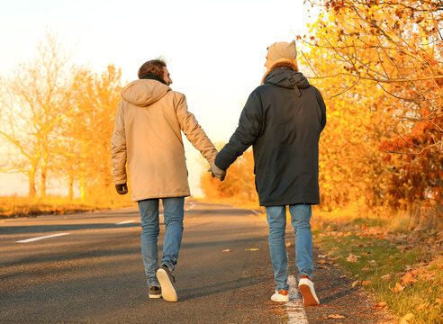 Happy Gay Couple Walking In Autumn Park, Back View