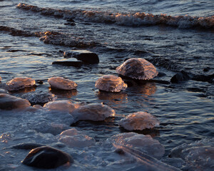 Ice covered rocks on the beach.