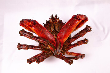 Centollo