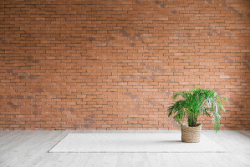 View of big empty room with brick wall, palm tree and carpet