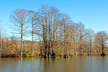 Stumpy Lake Virginia 