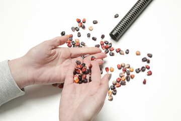 Woman using corn seeds on microphone to make ASMR sounds