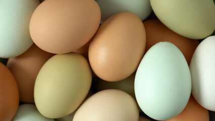 Top view of colored fresh raw chicken eggs. Natural, farm food.