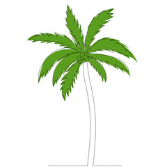palm tree drawing in one continuous line, isolated vector
