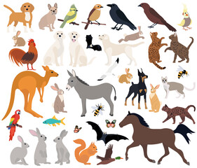 set of flat design animals, isolated, vector