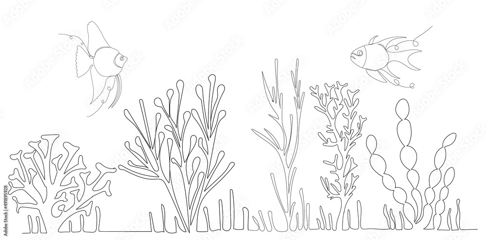 Wall mural algae drawing in one continuous line, isolated vector