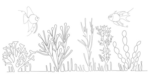 algae drawing in one continuous line, isolated vector