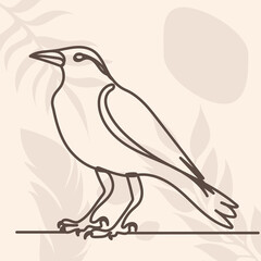 crow drawing in one continuous line, isolated vector
