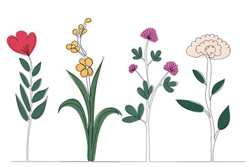 flowers drawing in one continuous line, isolated vector