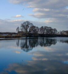 Fototapeta premium Sspring river symmetrical scape. Blue water and reflection, bare trees, beautiful clouds on blue sky. Migrating birds in the sky.