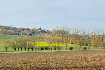  Flemish ardennes landscape, with farm fields, pollarded willow trees and a small church of he village of Onkerzele on the hilltop. Flanders, Belgium  - obrazy, fototapety, plakaty