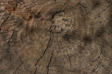 A Hard Wood Texture