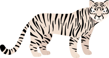 Fototapeta na wymiar White Tiger or Bleached Tiger as Felid or Wild Cat and Carnivore African Animal and Habitant