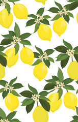 Lemon vector pattern. Tropical fruit background. Summer exotic print. Hand drawn illustration. Botanical realistic eco pattern.