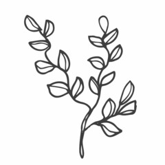 Floral doodle design elements. Hand drawn decorative leaves and wreaths. Flower ornament dividers. Tree branches with leaf and flowers.