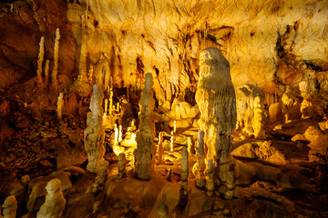 The bear cave pestera ursilor at chiscau in romania