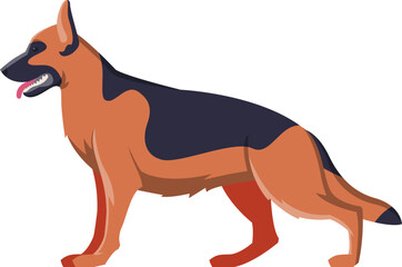 German Shepherd Purebred Dog as Domestic Pet Animal in Standing Pose Side View