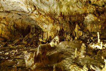 The bear cave pestera ursilor at chiscau in romania