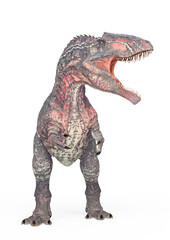 giganotosaurus is angry on white background