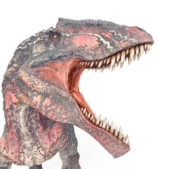 giganotosaurus is angry on white background close up view © DM7