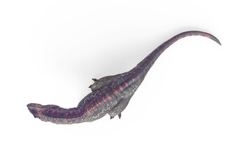 giganotosaurus is lying down and resting on white background top view © DM7