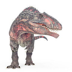 giganotosaurus is looking for food on white background © DM7