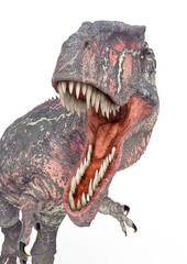 giganotosaurus in action on white background close up view