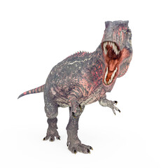 giganotosaurus in action on white background © DM7