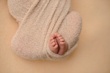 Small beautiful legs of a newborn baby in the first days of life