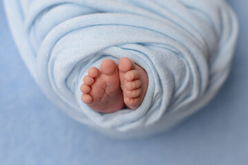 Small beautiful legs of a newborn baby in the first days of life