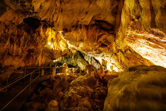 The bear cace pestera ursilor at chiscau in romania