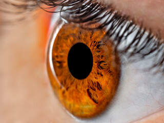 Brown eye macro - human eye iris closeup