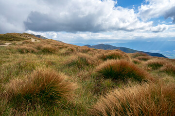 Lush grasses in mountain meadows. Western Tatras.