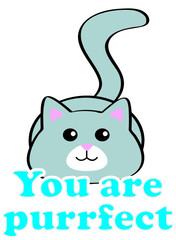 purfect cat