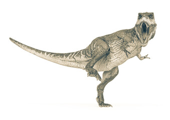 tyrannosaurus rex is walking slowly in white background