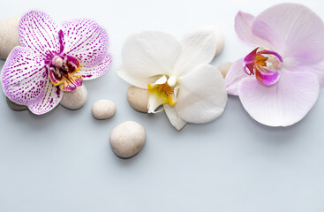 Naklejka na ściany i meble purple orchid flower on light blue background and sea salt. spa and skincare concept. relax, meditation mood. natural. mineral grains, wellnes.space for text. sea salt arranged wave shape.