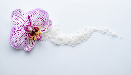 purple orchid flower on light blue background and sea salt. spa and skincare concept. relax, meditation mood. natural. mineral grains, wellnes.space for text. sea salt arranged wave shape. - obrazy, fototapety, plakaty