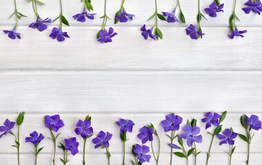 Blue violet flowers periwinkle on a white plank wooden background with space for text. Top view, flat lay