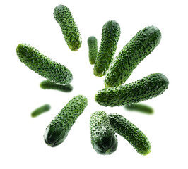 Green cucumbers levitate on a white background