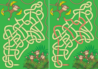 Monkey maze