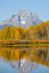 Fototapeta na wymiar Scenic Autumn Landscape in Grand Teton National Park Wyoming