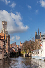 view of the city canal with ducks and swans with a beautiful gothic cathedral in the background