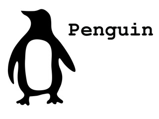 penguin on a white background