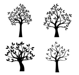 Obraz premium Set Black Trees. Vector outline Illustration.