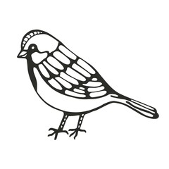 Bird silhouette sketch vector isolated